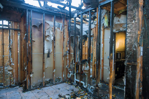 Professional Fire Damage Removal technician working in Deale, MD